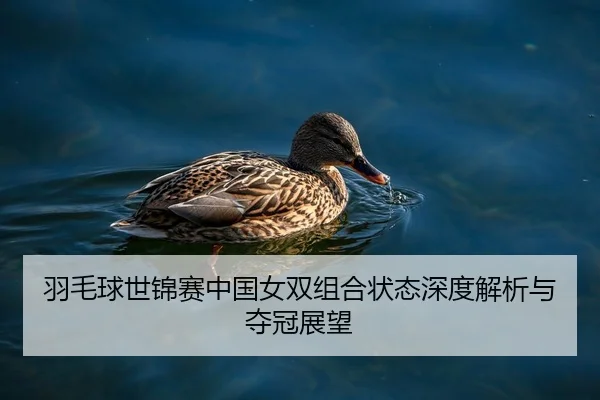 羽毛球世锦赛中国女双组合状态深度解析与夺冠展望
